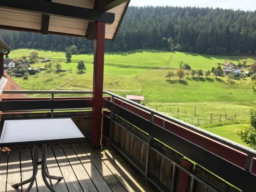 rinkenturm_balkon_sdseite